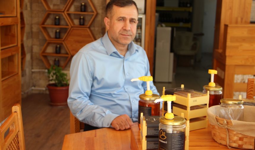 Yağışlar arıcıların yüzünü güldürdü