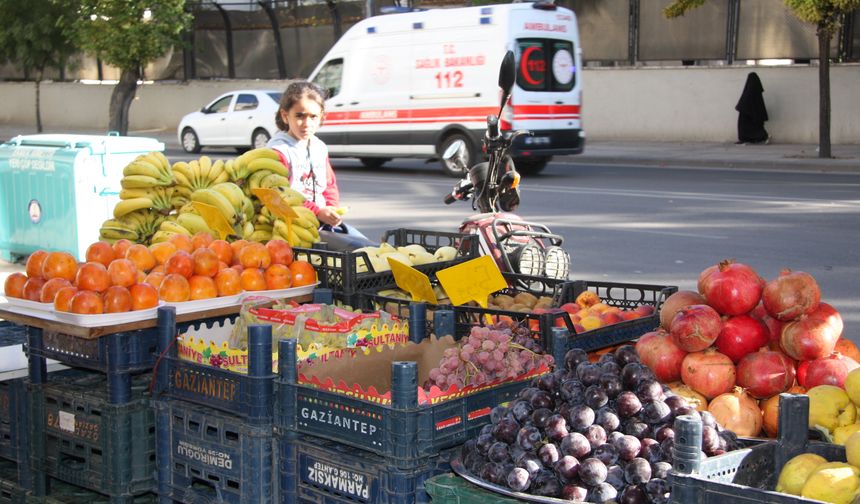 ‘GIDA GÜVENLİĞİ AÇISINDAN RİSK BARINDIRIYOR’