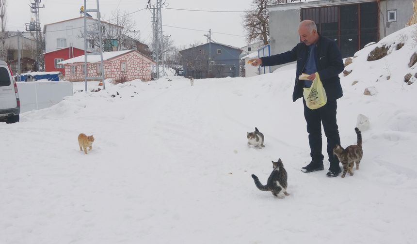 Sokak hayvanları için köyü terk etmiyor!