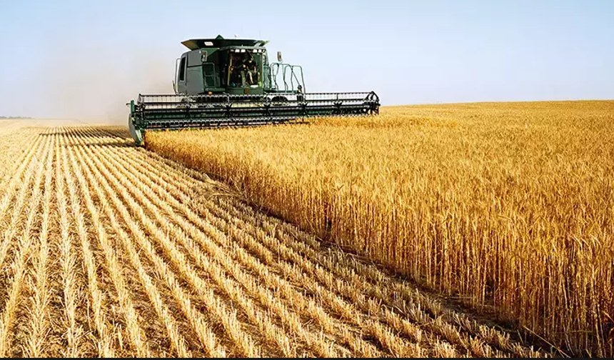‘Hububat ihracatı 3,6 milyar dolar!’