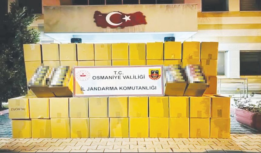 Kaçakçılarla mücadele sürüyor