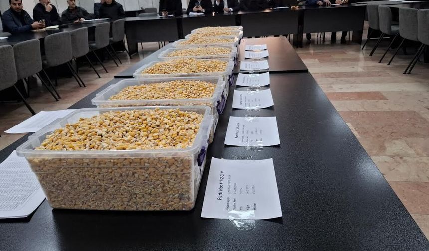 ‘ihale bölgedeki hububat ve yem sanayisi açısından çok önemli’