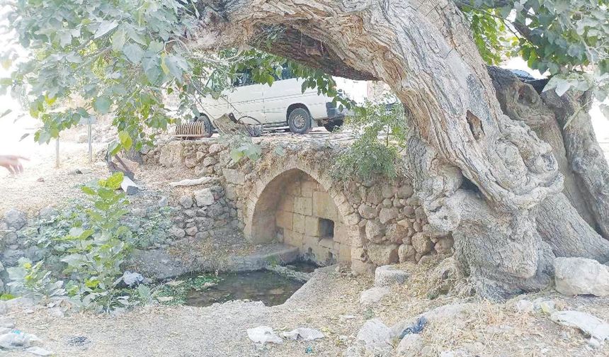 Tarihi çeşmeler kaderine terk ediliyor!