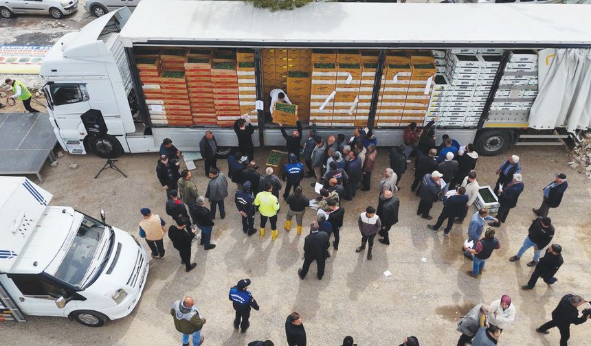 Çiftçilere 5 milyon sertifikalı fide desteği veriliyor