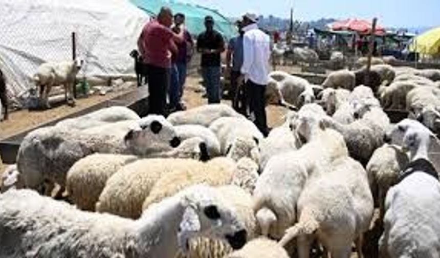 ‘Bayram paylaştıkça güzel’