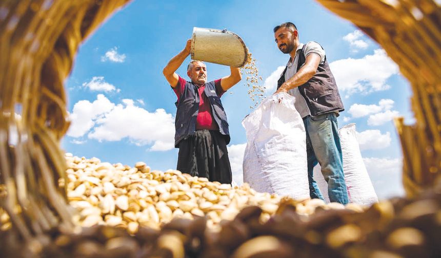 ‘Bereketli topraklar kayıt altına alınacak’