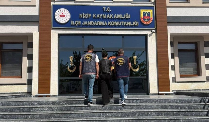 Hapis cezayla aranan suçlu cezaevinde!