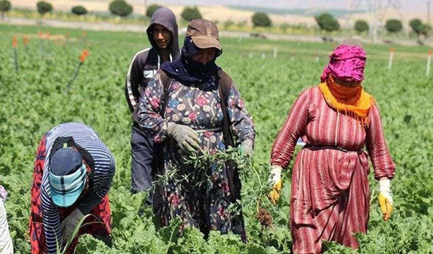 ‘Toprak, geleceğin en kıymetli emaneti’
