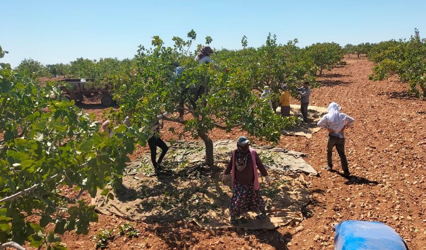 ‘YERLİ ÜRETİCİ KORUNMALI’