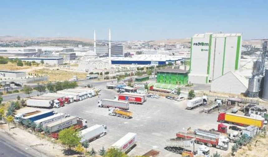 Serbest bölgelerin ticaret hacmi büyüyor